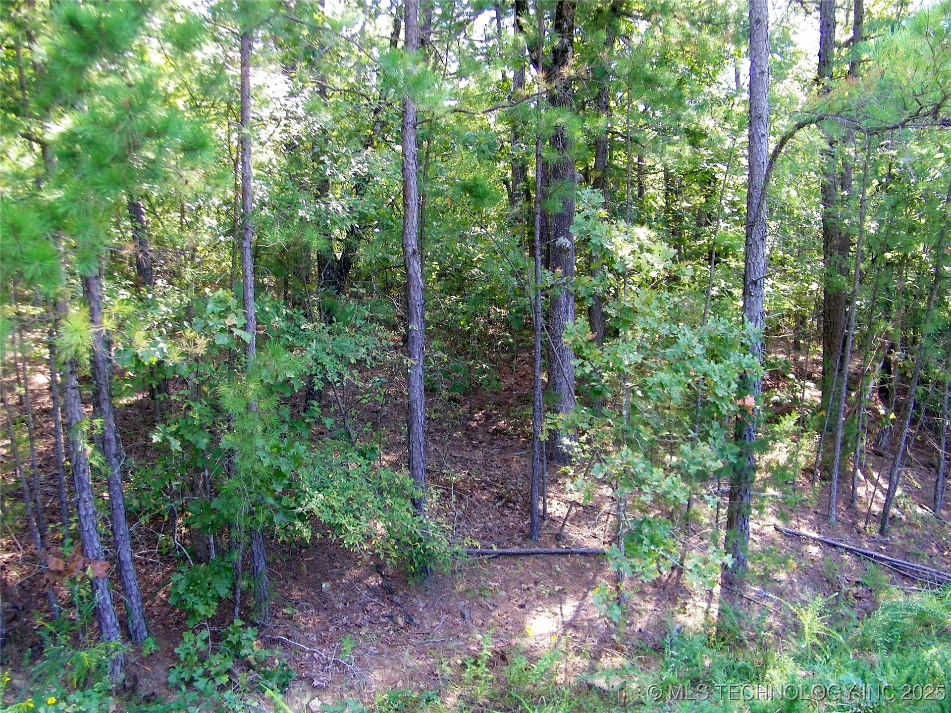 901 Sycamore Loop Broken Bow OK 74728