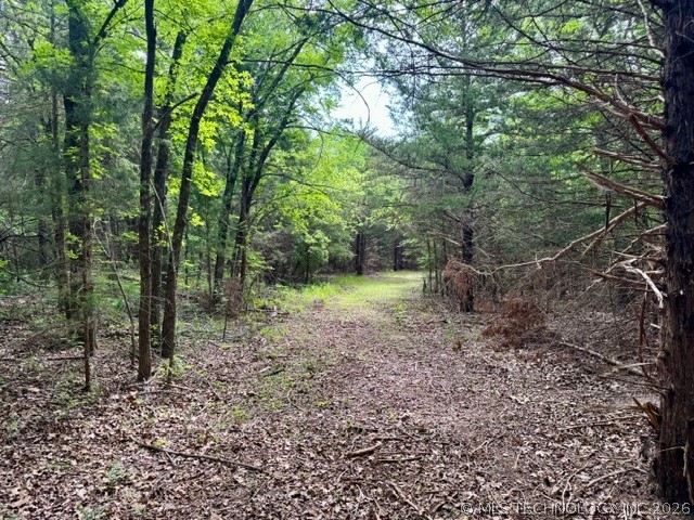 0002 Slab Road Wapanucka OK 73461