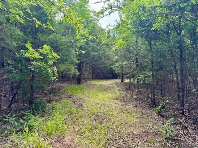 0002 Slab Road Wapanucka OK 73461