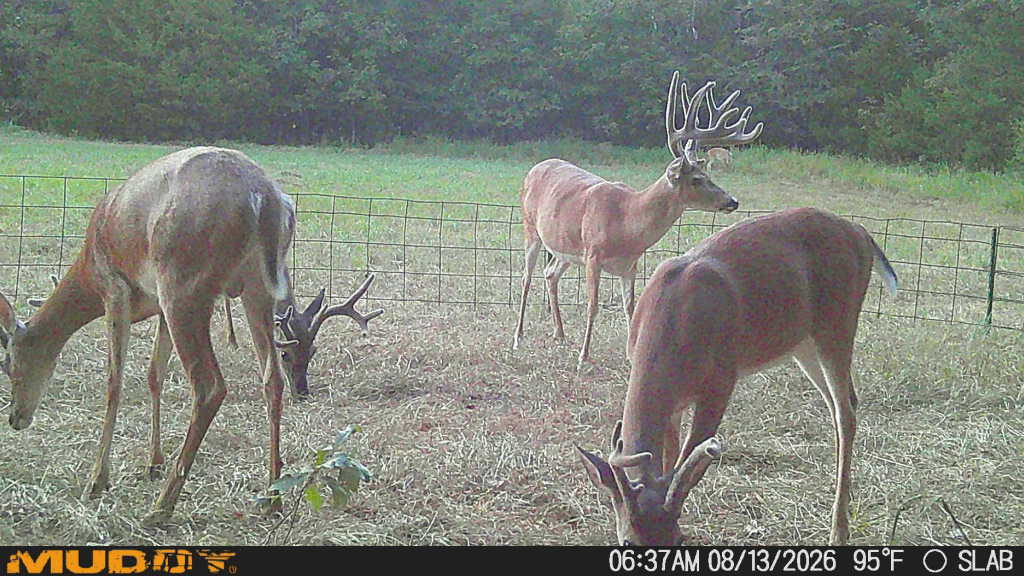 0002 Slab Road Wapanucka OK 73461