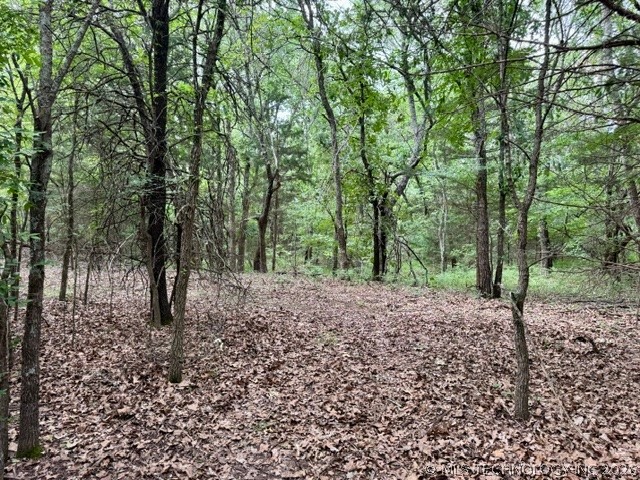 0002 Slab Road Wapanucka OK 73461