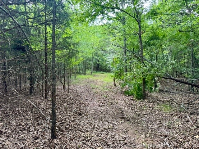 0002 Slab Road Wapanucka OK 73461