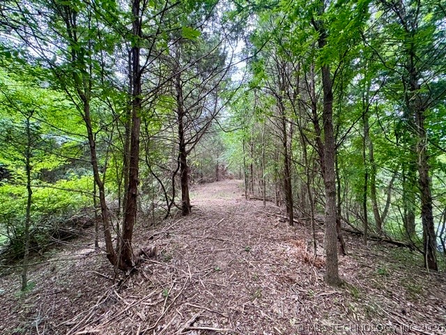 0002 Slab Road Wapanucka OK 73461