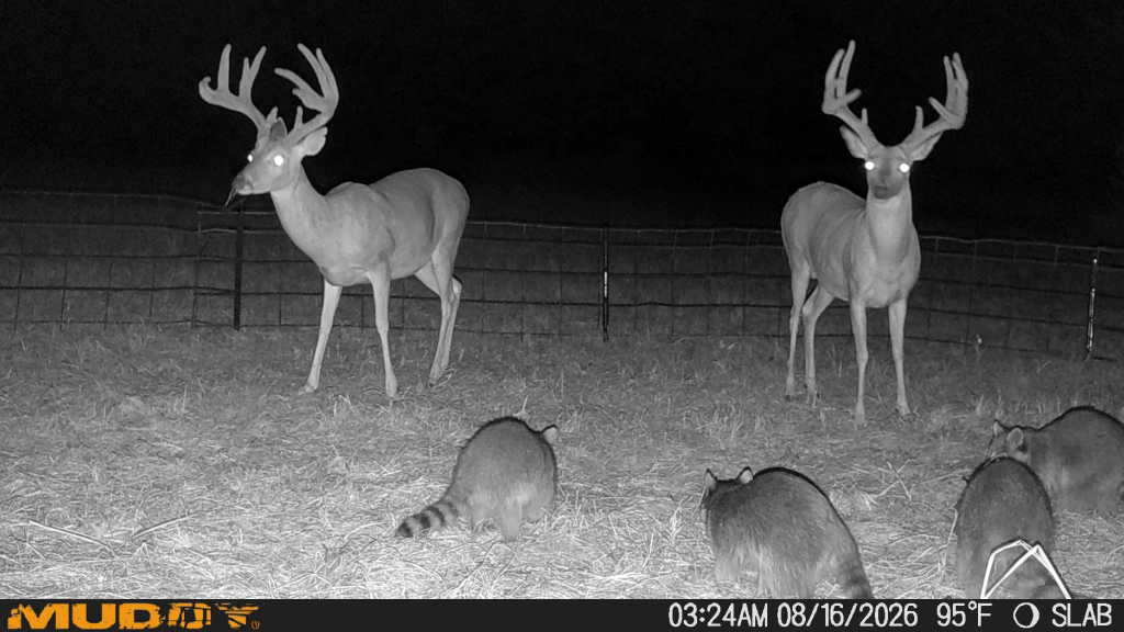 0002 Slab Road Wapanucka OK 73461