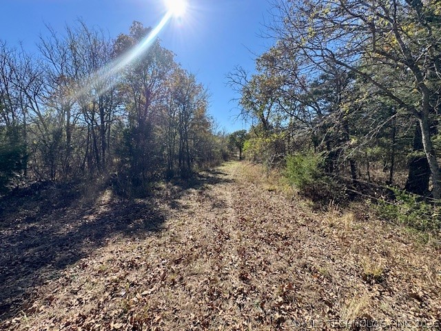 0002 Slab Road Wapanucka OK 73461