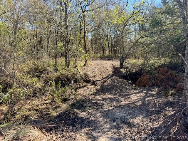 0002 Slab Road Wapanucka OK 73461