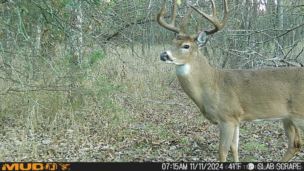 0002 Slab Road Wapanucka OK 73461