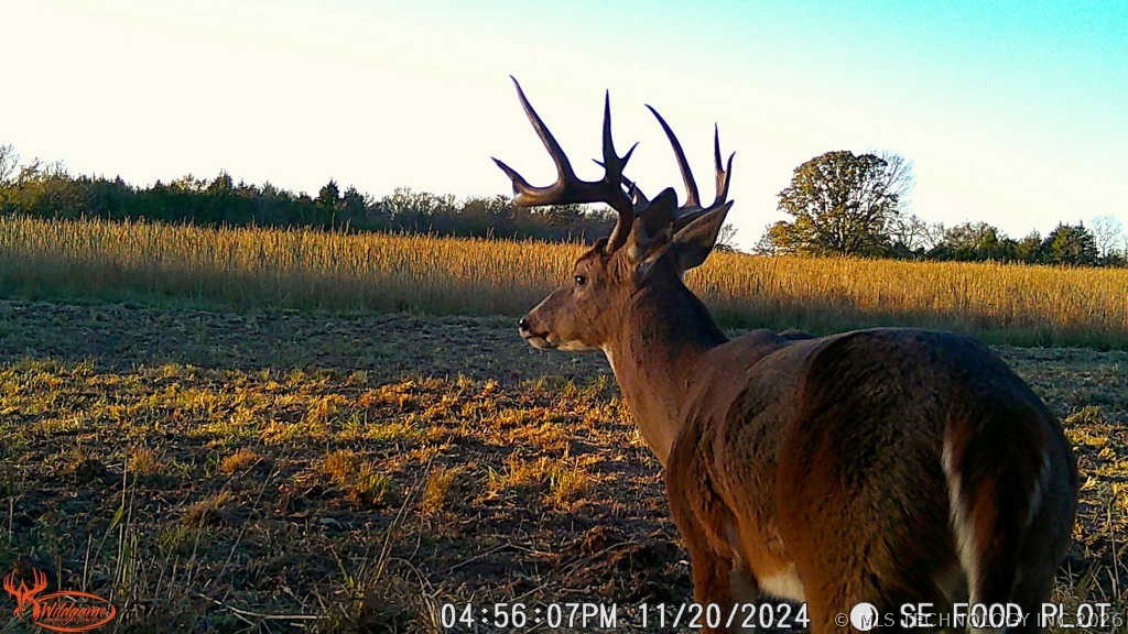 0002 Slab Road Wapanucka OK 73461