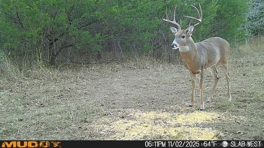 0002 Slab Road Wapanucka OK 73461