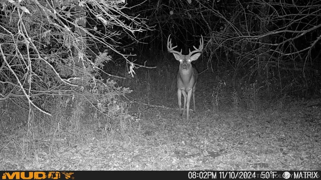 0002 Slab Road Wapanucka OK 73461
