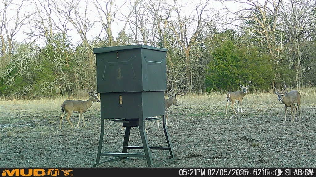 0002 Slab Road Wapanucka OK 73461