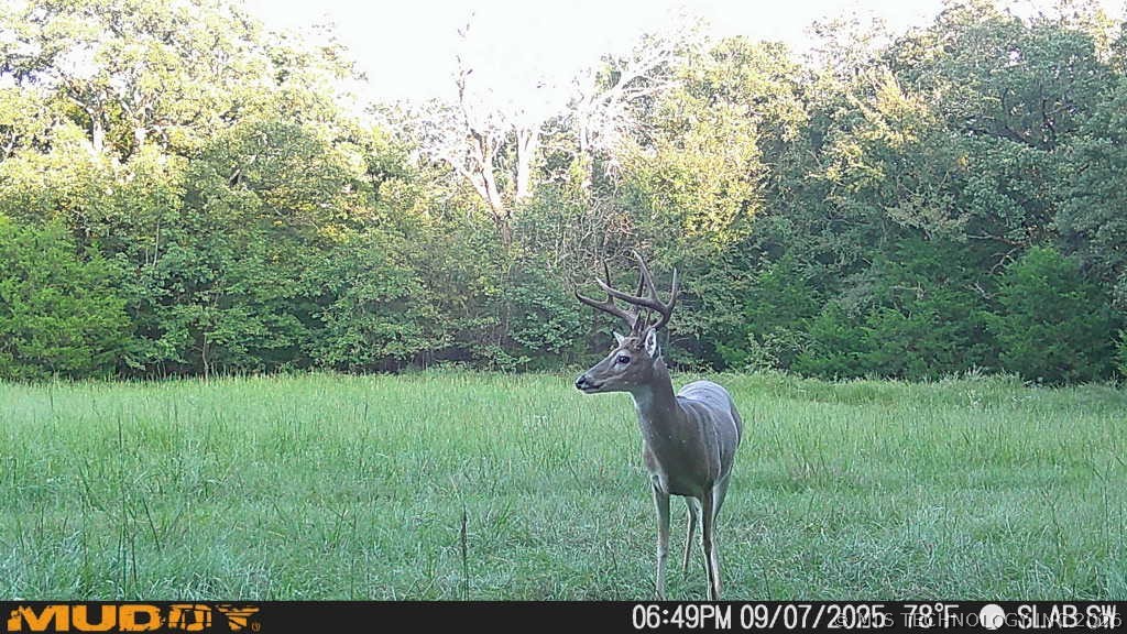 0002 Slab Road Wapanucka OK 73461