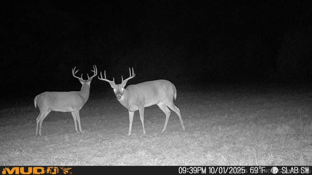 0002 Slab Road Wapanucka OK 73461