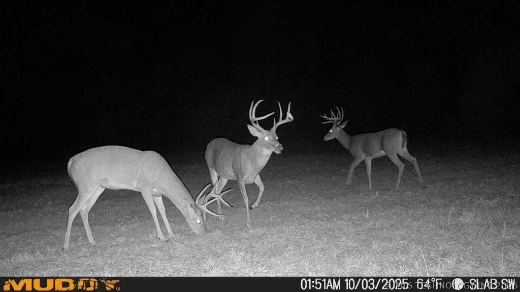 0002 Slab Road Wapanucka OK 73461