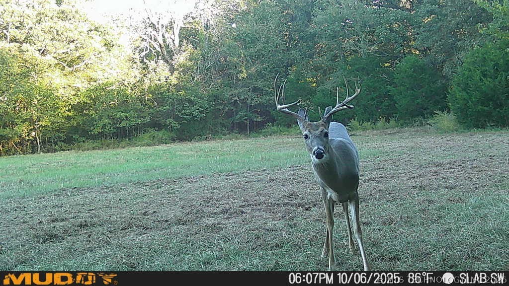 0002 Slab Road Wapanucka OK 73461