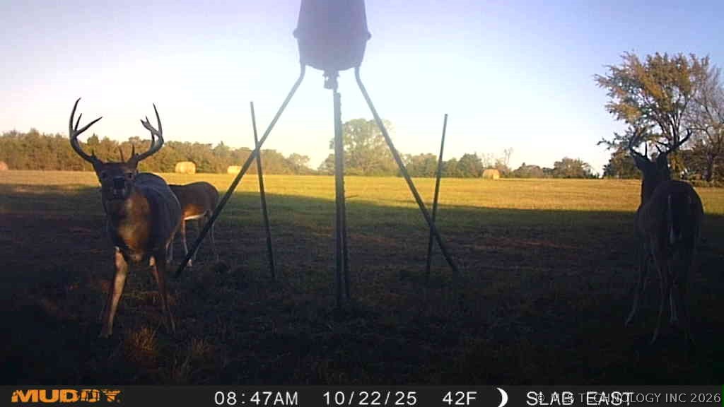 0002 Slab Road Wapanucka OK 73461