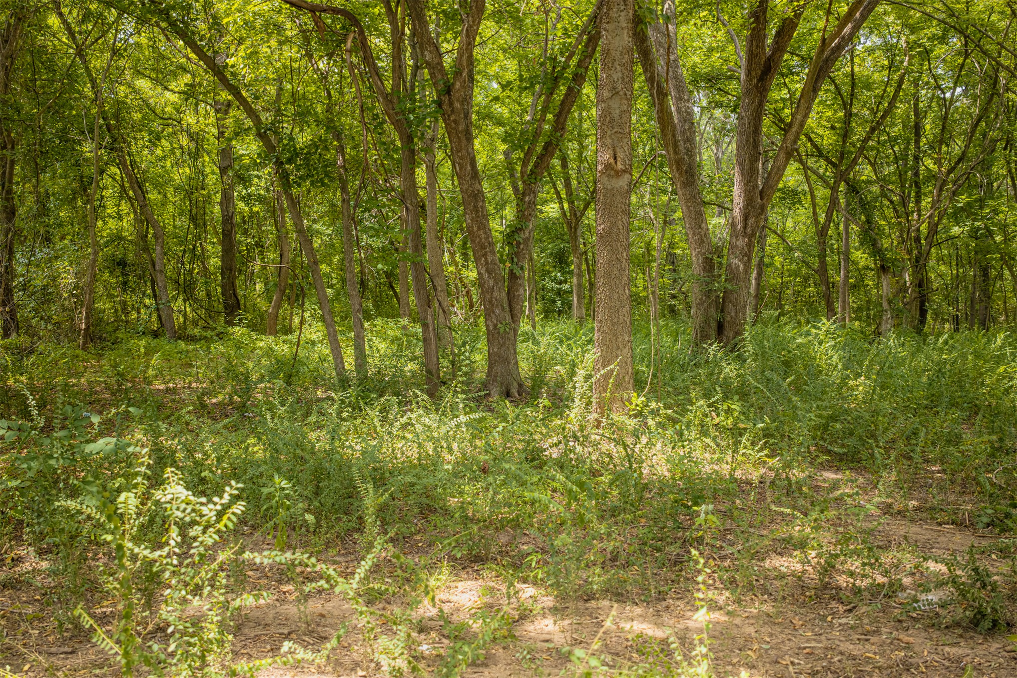 01 N Oklahoma Avenue Okmulgee OK 74447