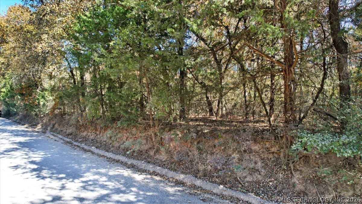 10392 S Buckholt Road Caney OK 74533