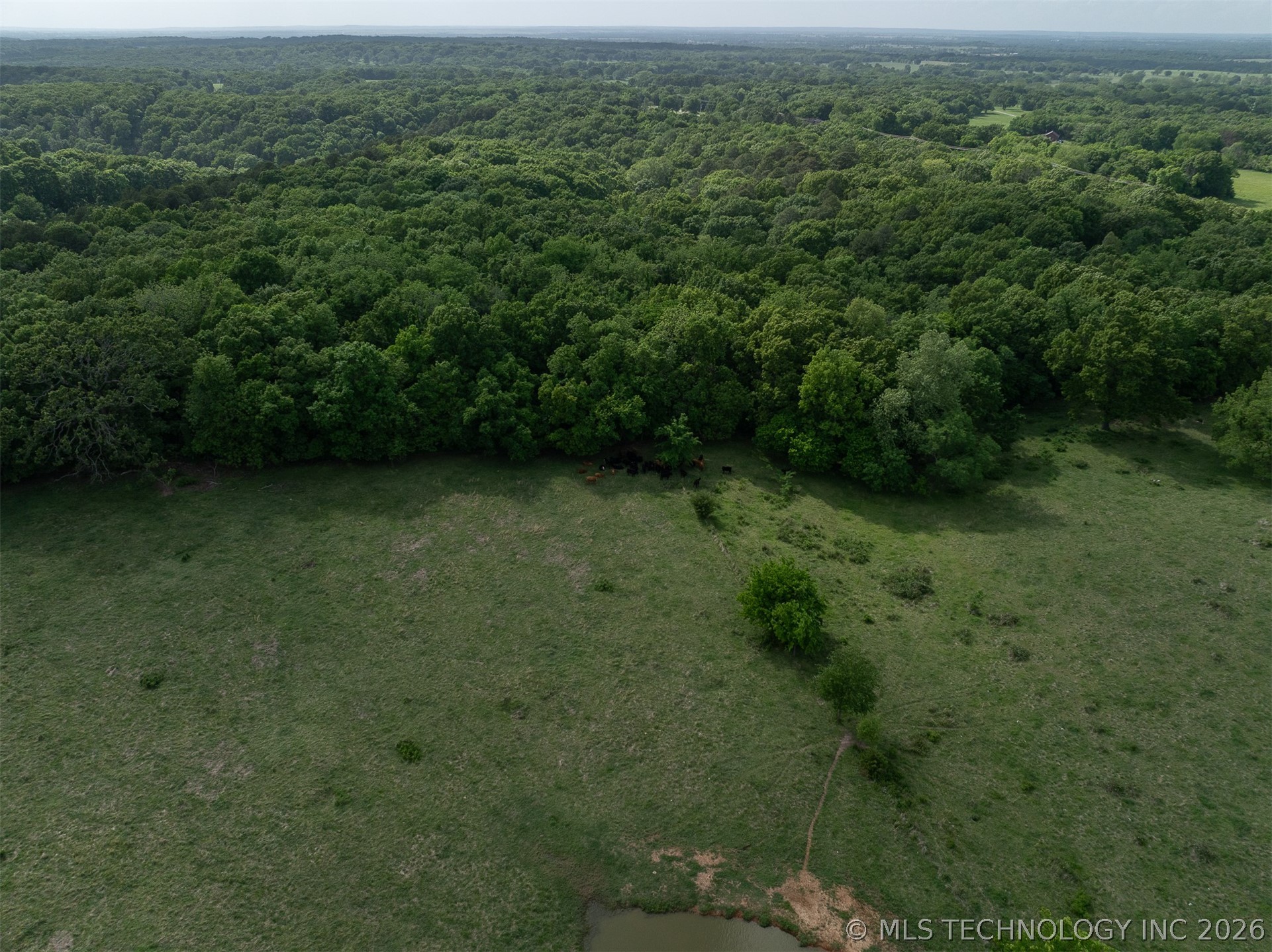 10464 E 420 Road Strang OK 74367