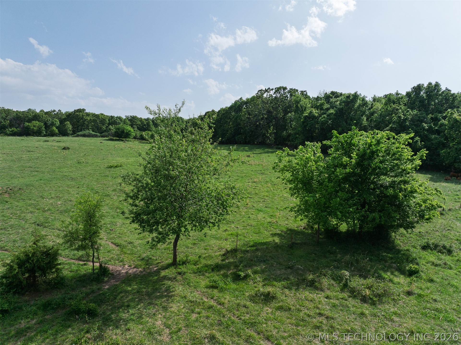 10464 E 420 Road Strang OK 74367