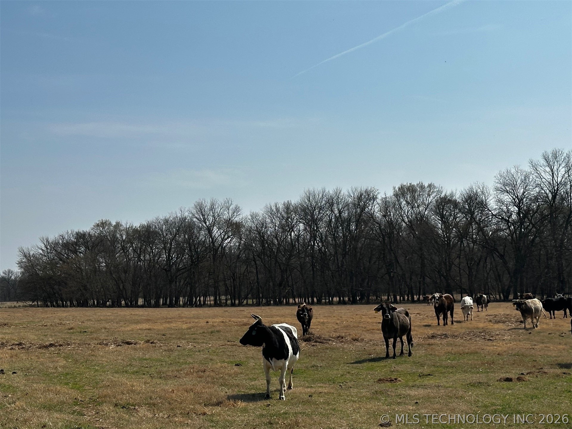 County Road 3680 Tupelo OK 74572