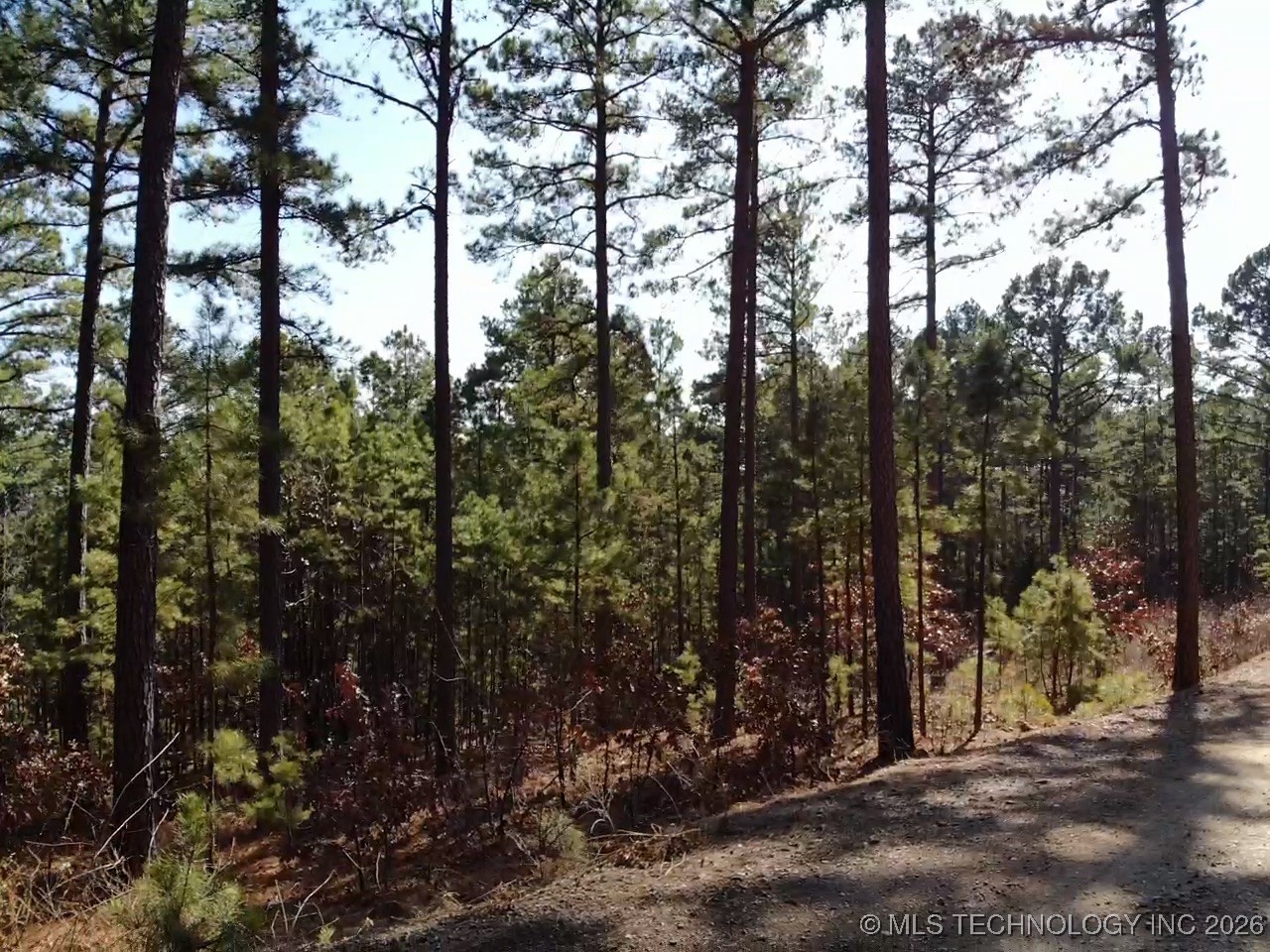 Mountain View Drive Tuskahoma OK 74574