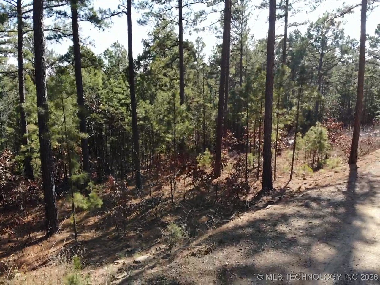 Mountain View Drive Tuskahoma OK 74574