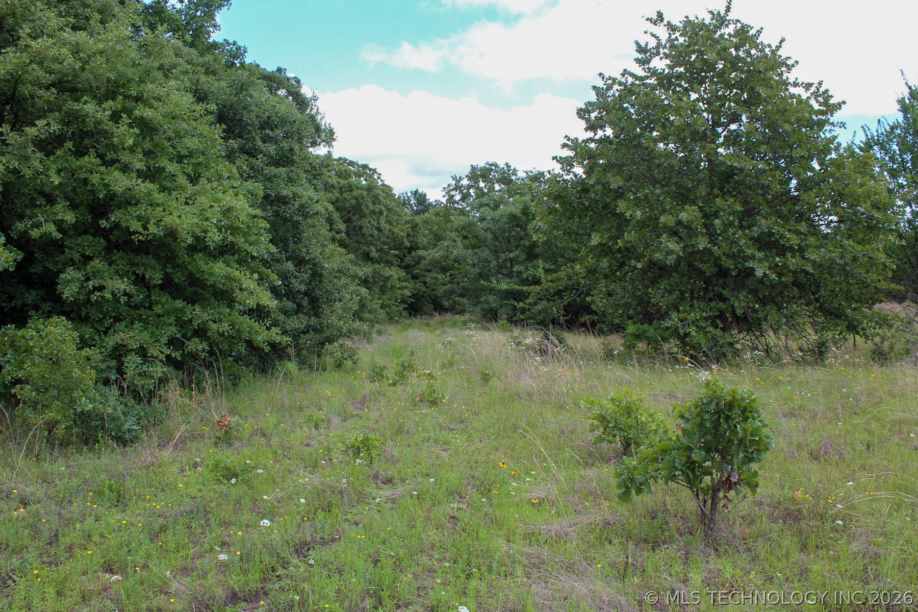 E 980 Road Castle OK 74833