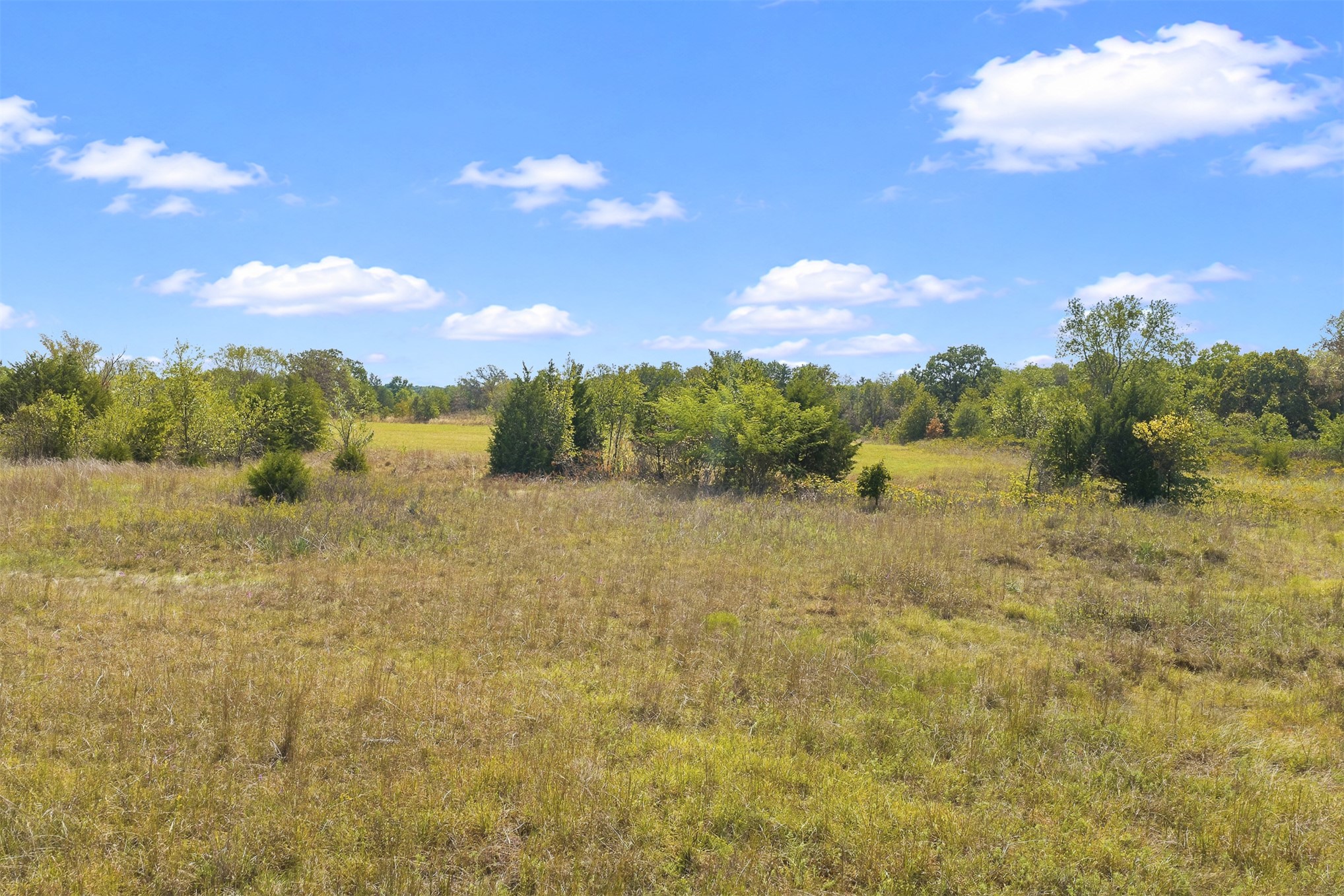 162 Big Bear Road Lone Grove OK 73443