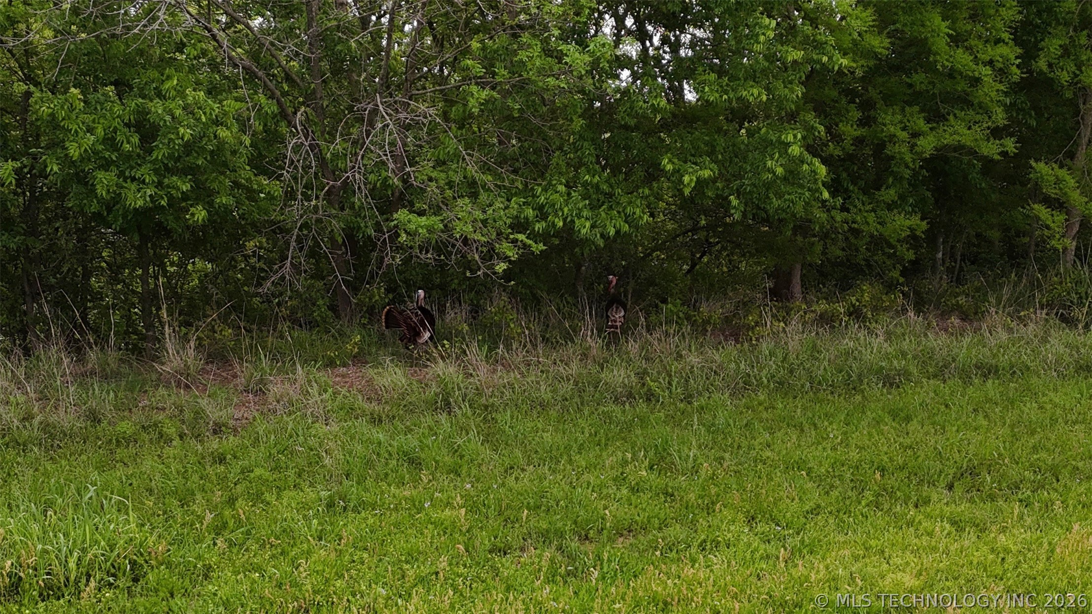 0 Cattlemen Wilson OK 73463