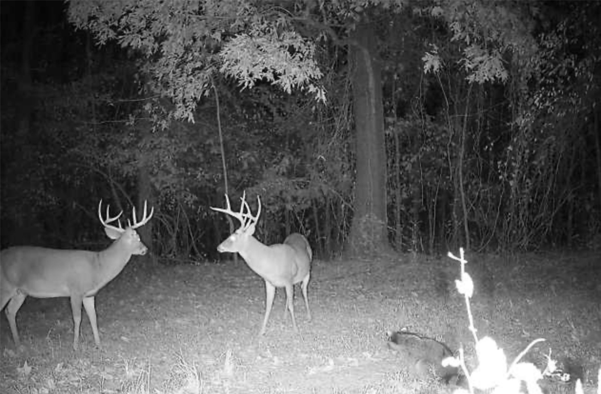 104453 S 4769 Muldrow OK 74948