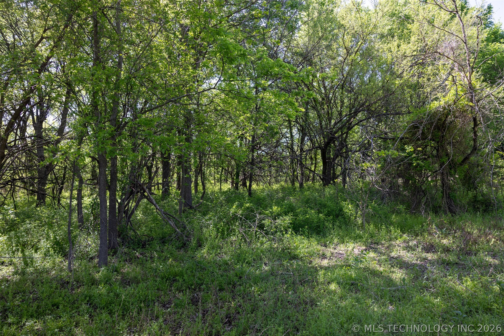 26 SE Lenapah Street Skiatook OK 74070