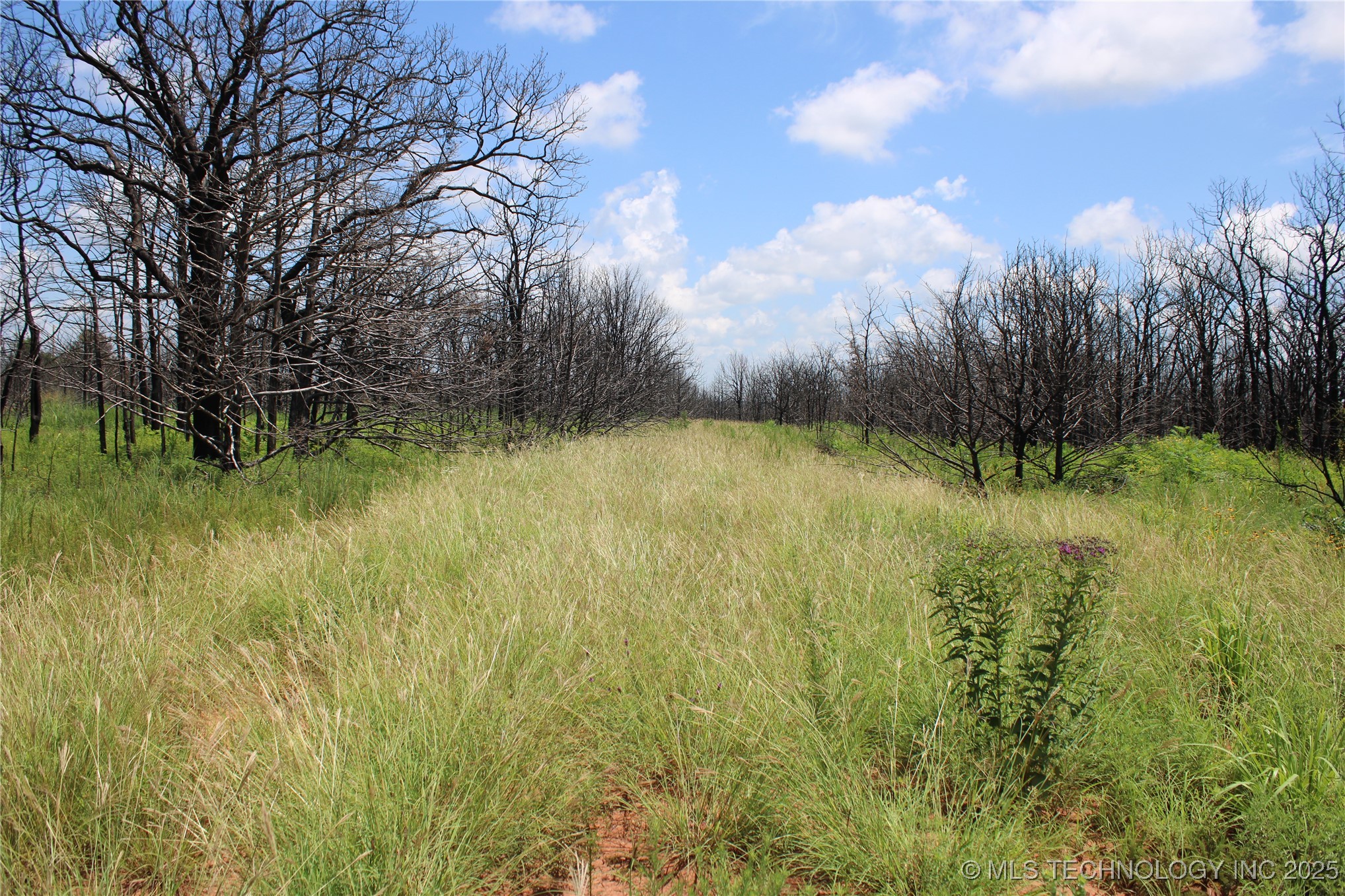 0000 E Seward Road Langston OK 73050