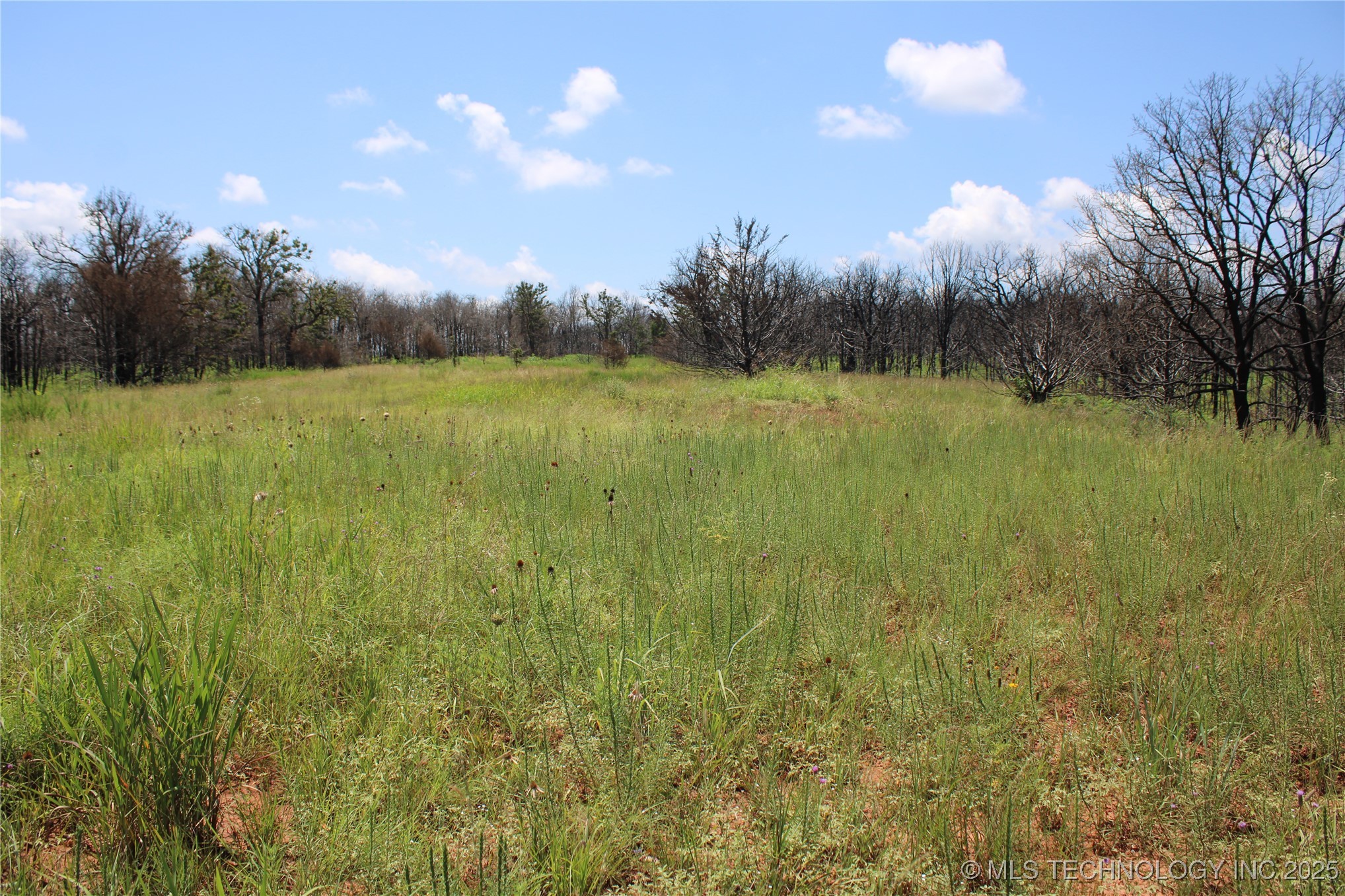 0000 E Seward Road Langston OK 73050