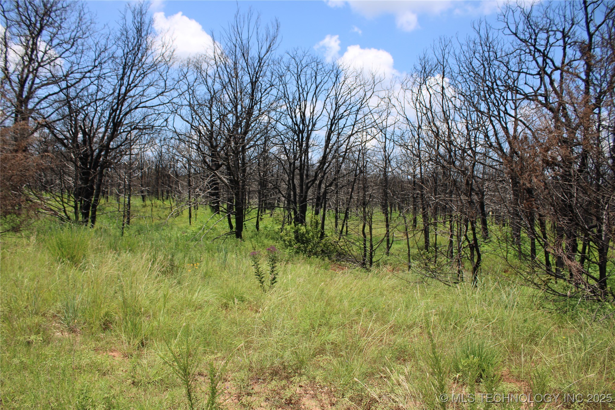 0000 E Seward Road Langston OK 73050