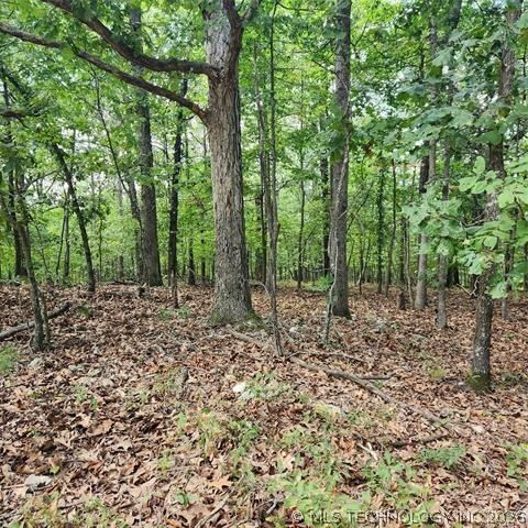 1103 Brown Bear Trail Kansas OK 74347