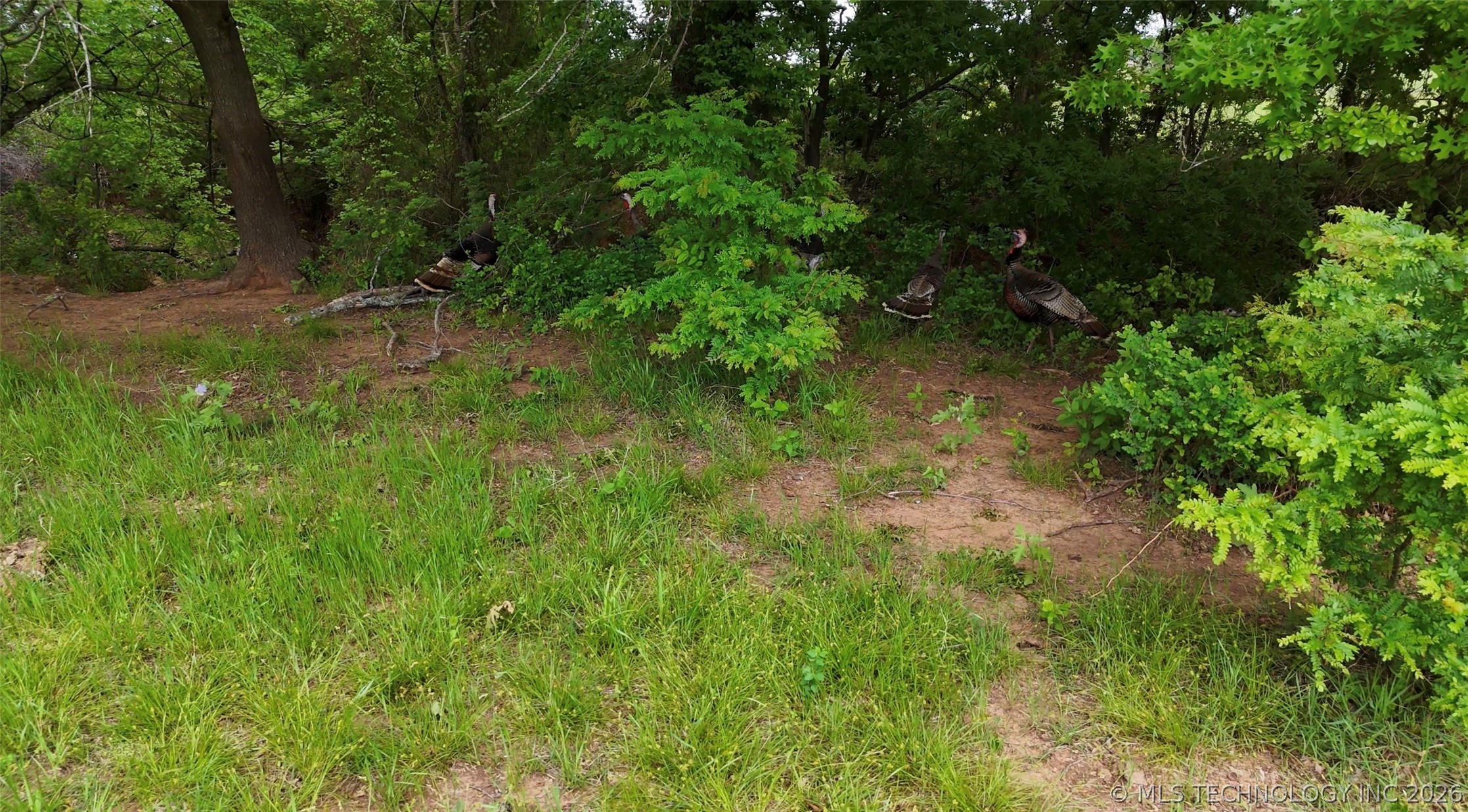 9123 Midway Wilson OK 73463