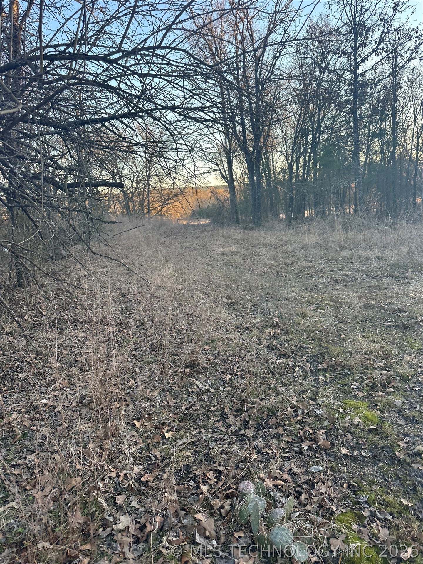 416067 E 1841 Road Moyers OK 74557