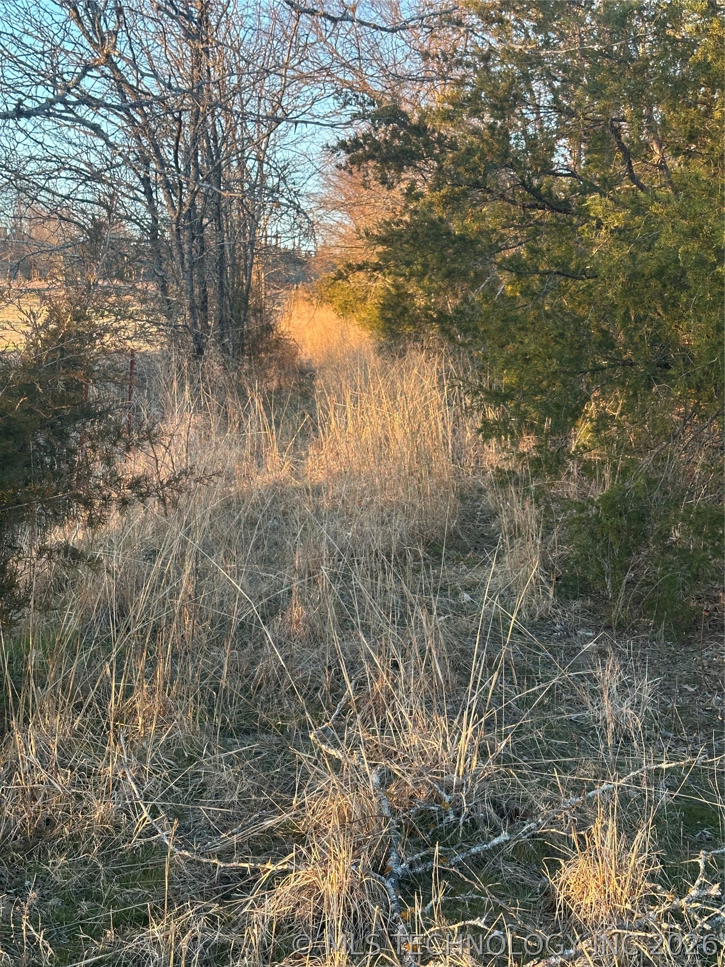 416067 E 1841 Road Moyers OK 74557