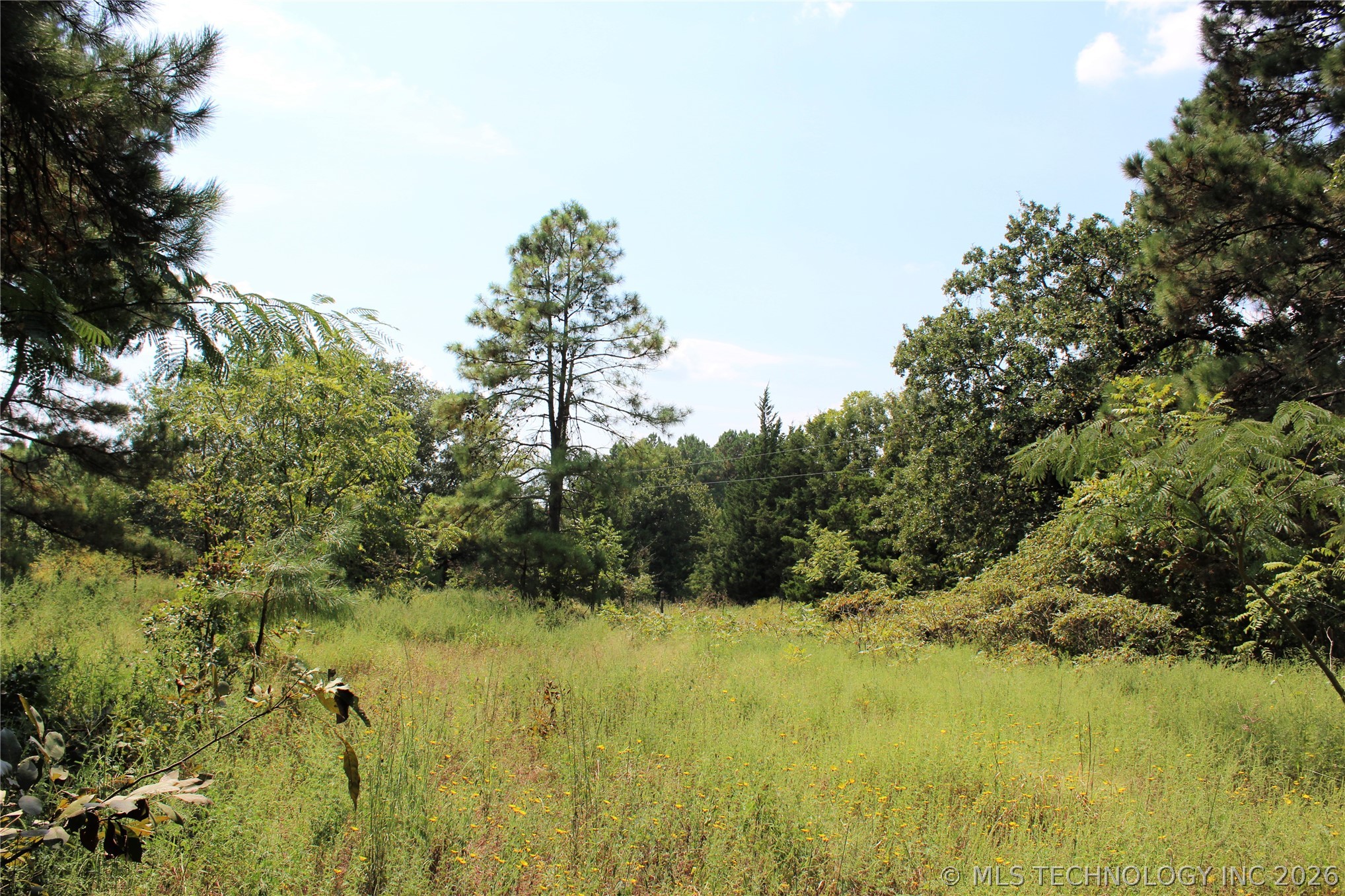 52 Peaceful Home Road Valliant OK 74764