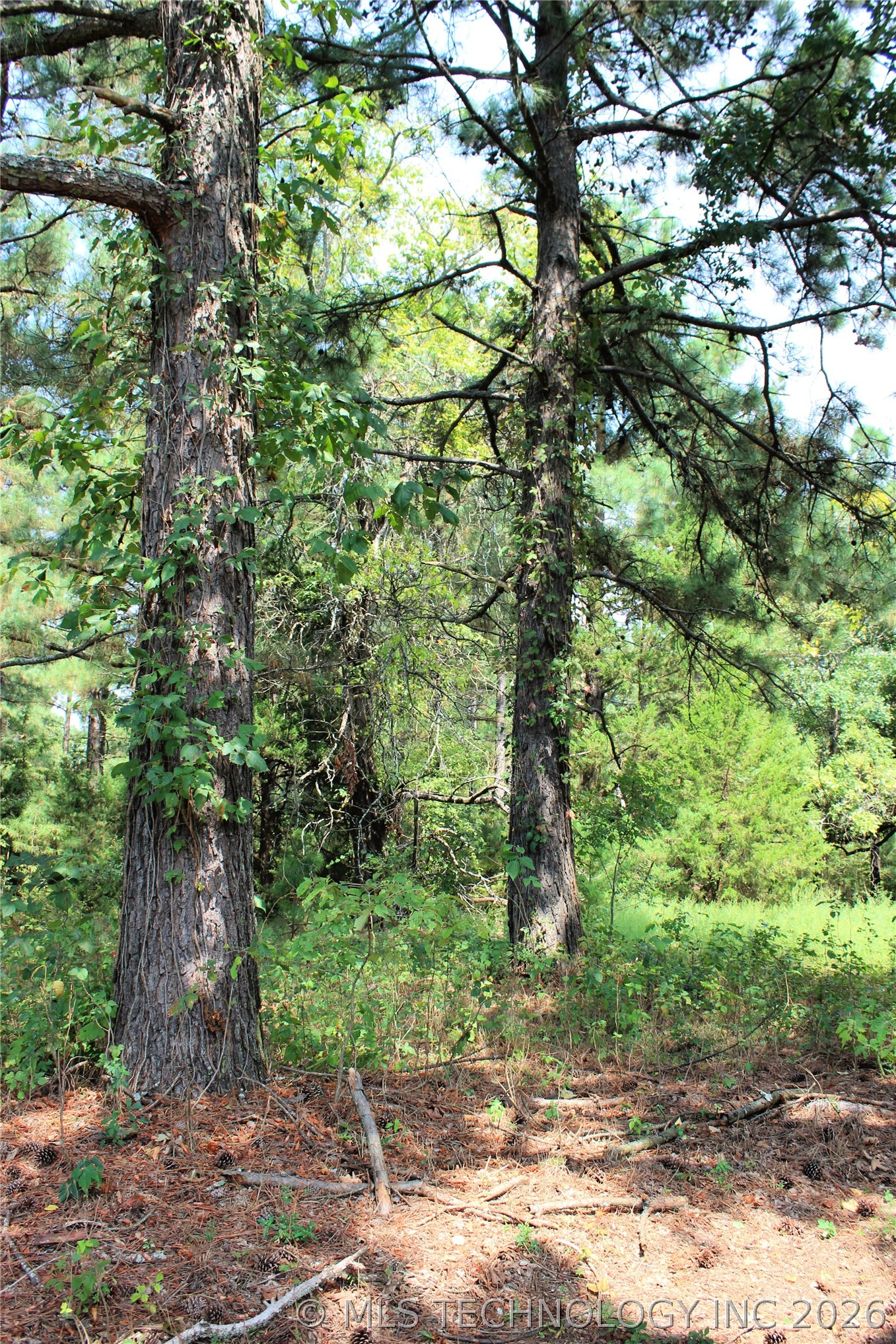 52 Peaceful Home Road Valliant OK 74764