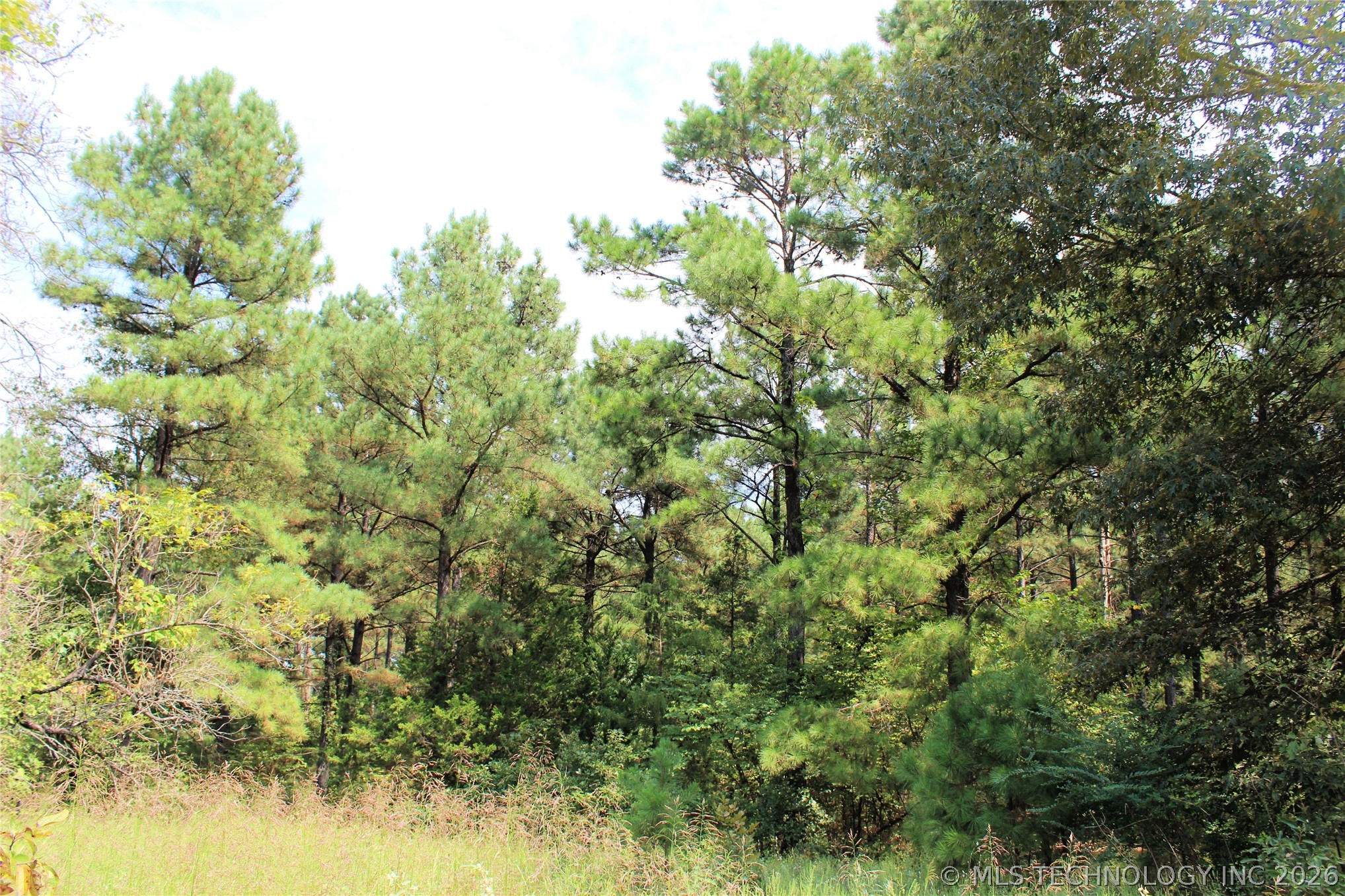 52 Peaceful Home Road Valliant OK 74764