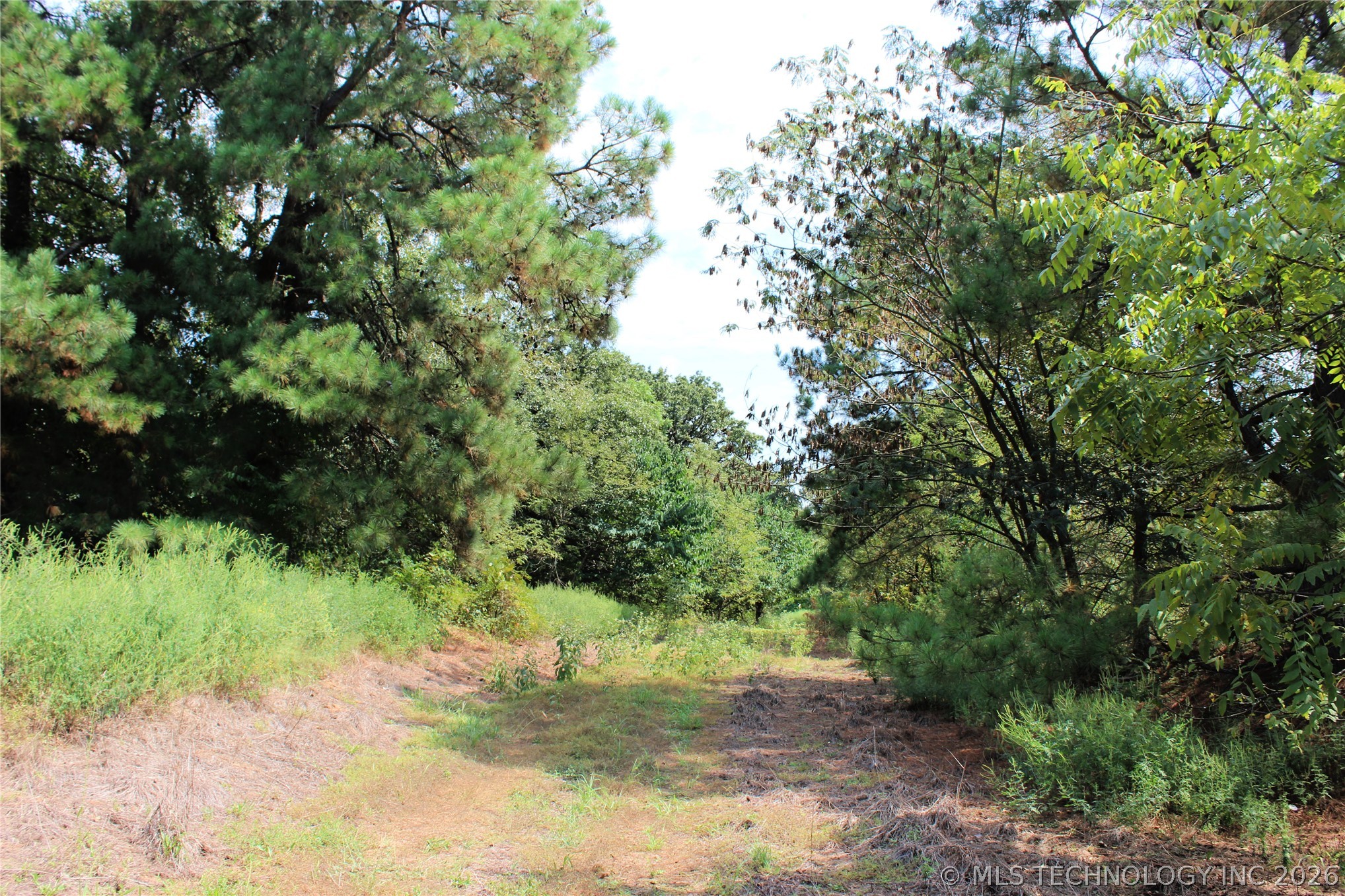 52 Peaceful Home Road Valliant OK 74764
