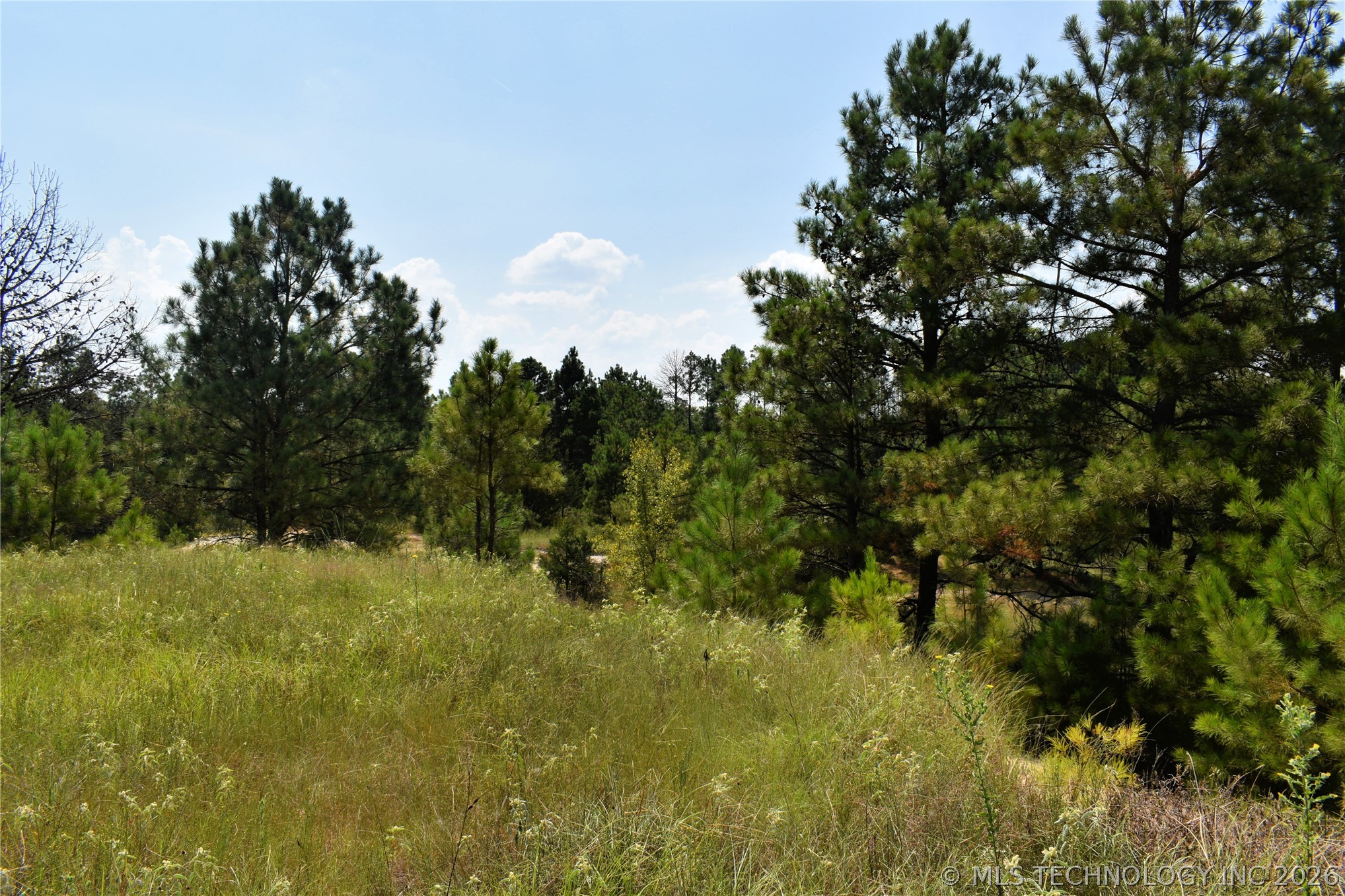 52 Peaceful Home Road Valliant OK 74764