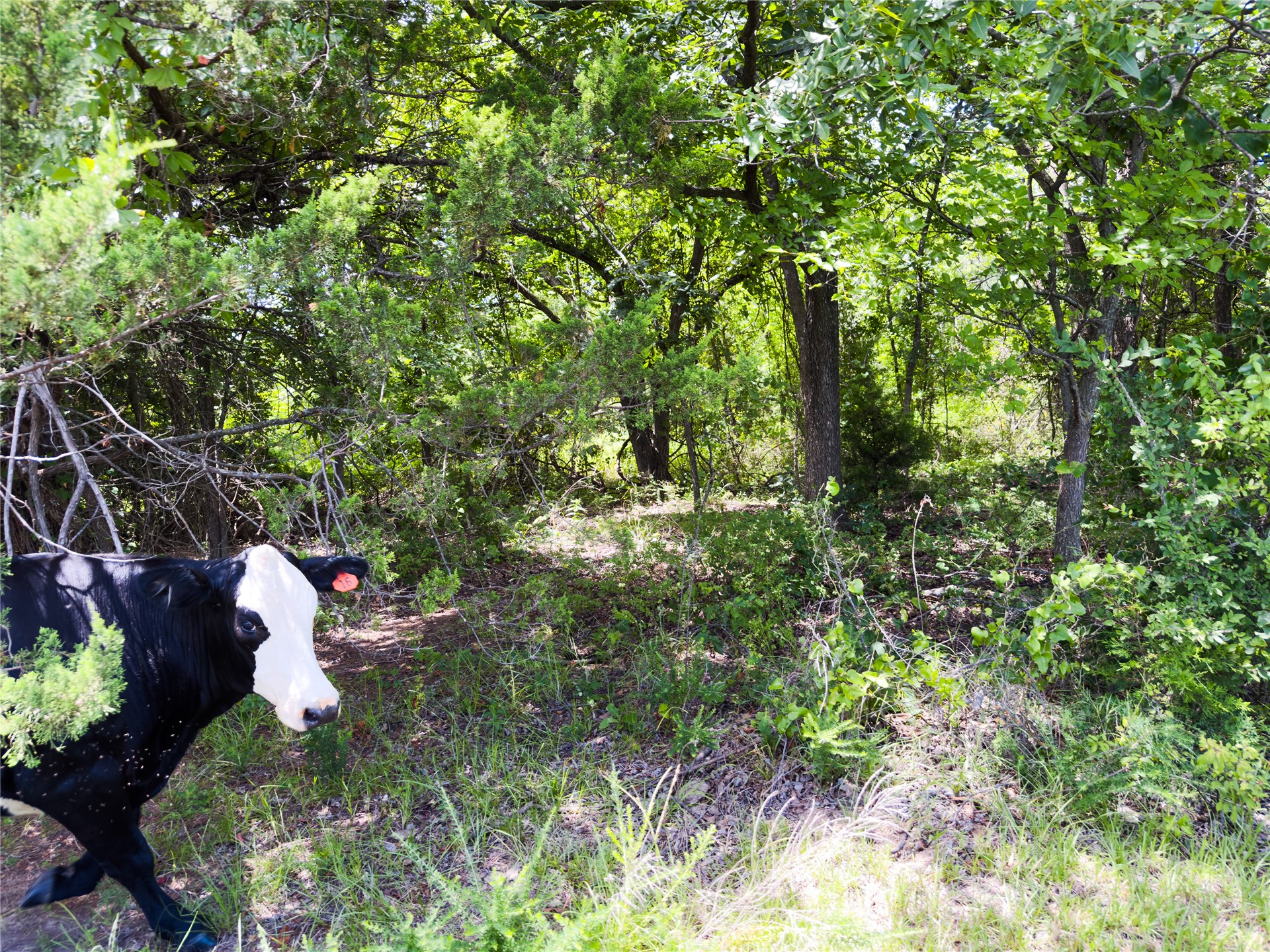 1920 State Highway 59a Stratford OK 74872