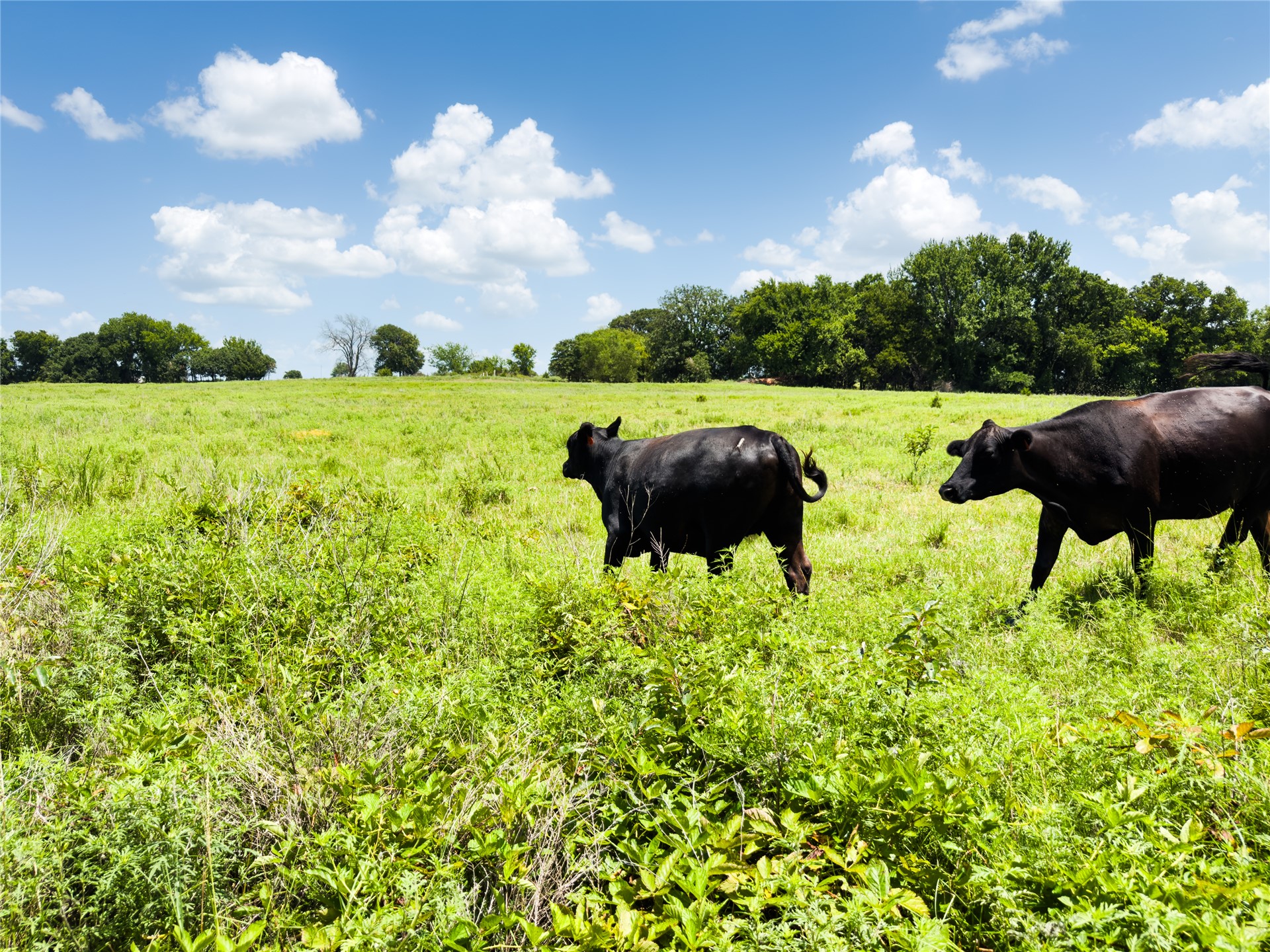 1920 State Highway 59a Stratford OK 74872