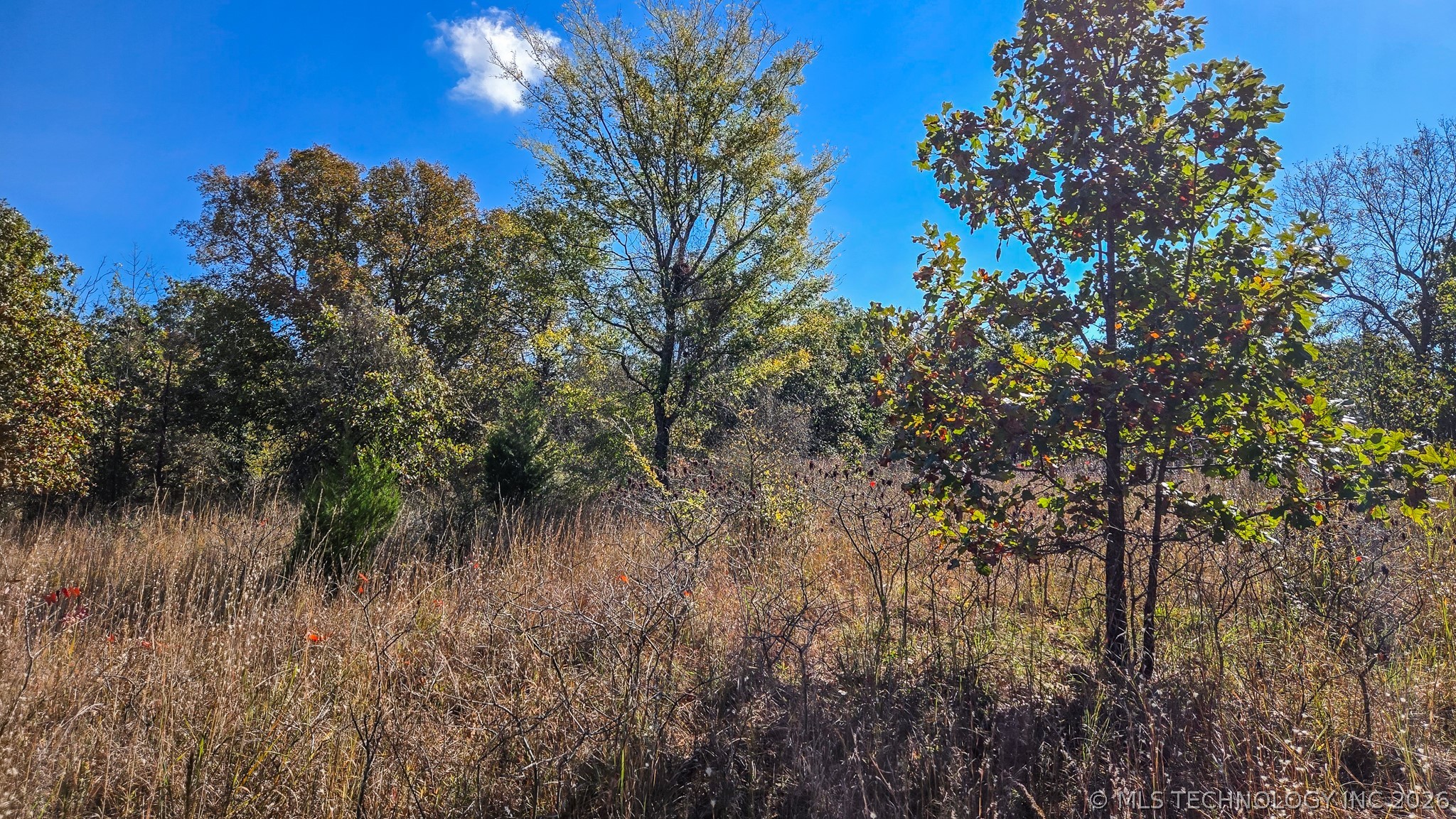 S 4270 Road Checotah OK 74426