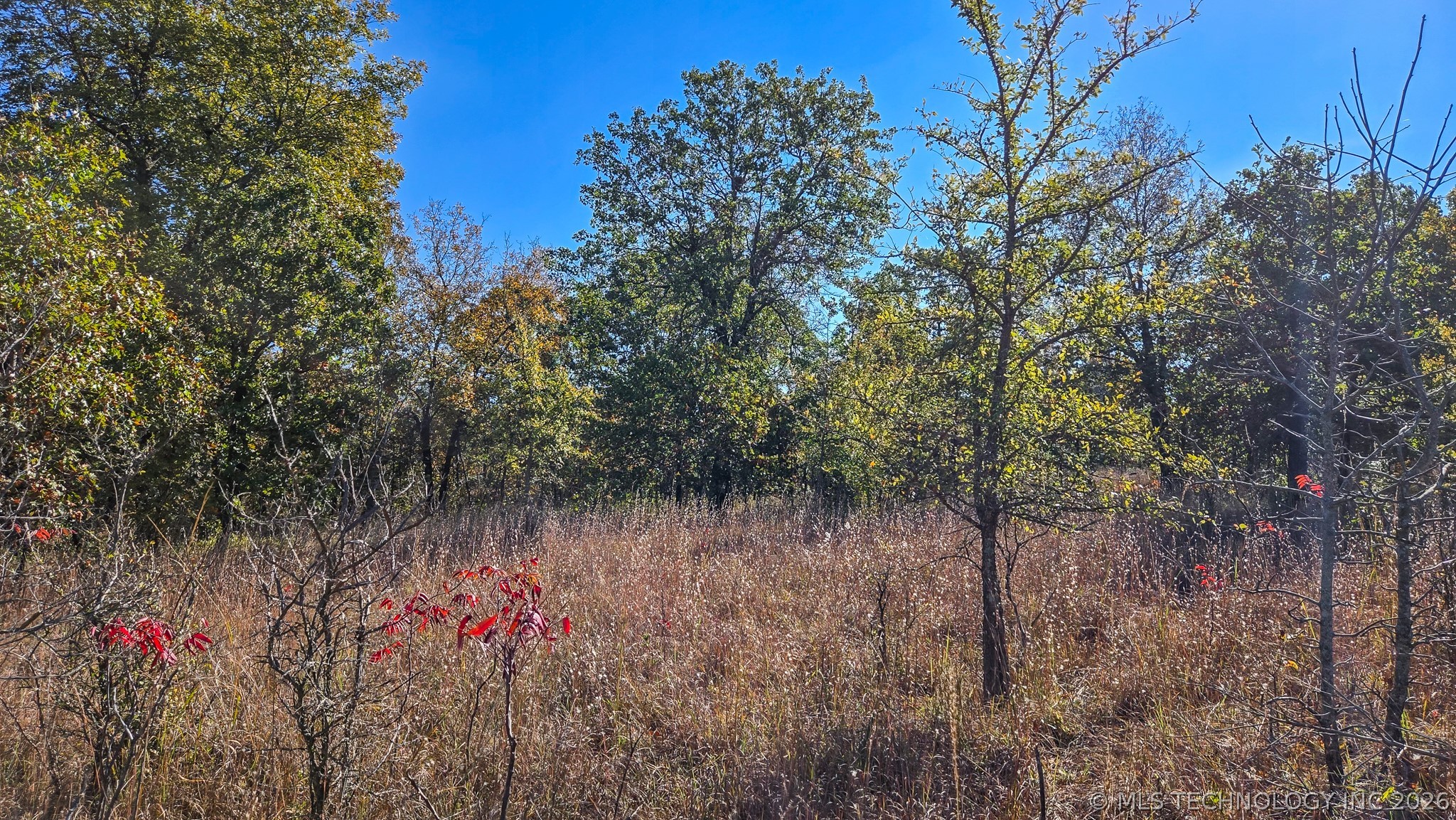 S 4270 Road Checotah OK 74426