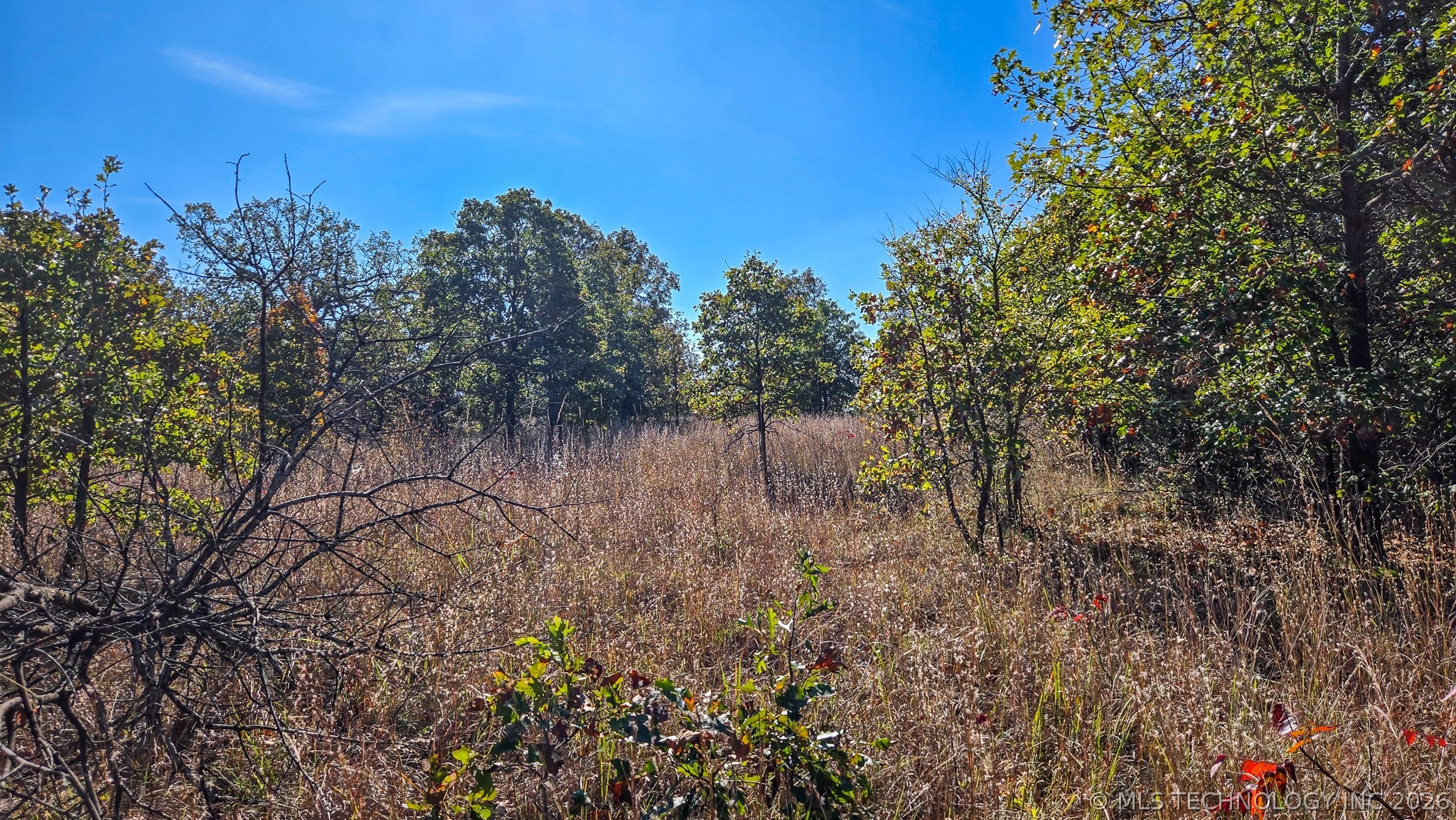S 4270 Road Checotah OK 74426