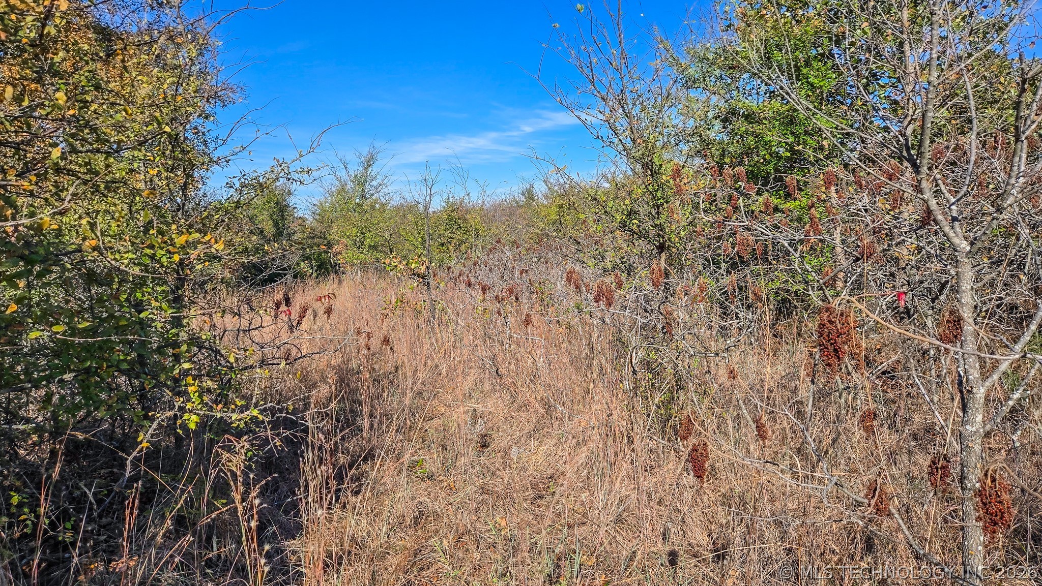 S 4270 Road Checotah OK 74426